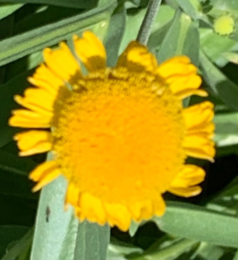 KakaoTalk_20240811_175846584_17.jpg