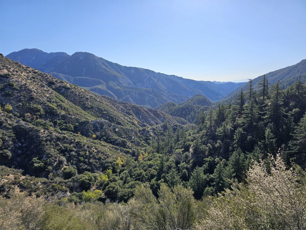 20251102_090006.jpg