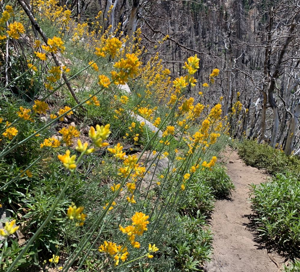 KakaoTalk_20230716_153544378_25.jpg