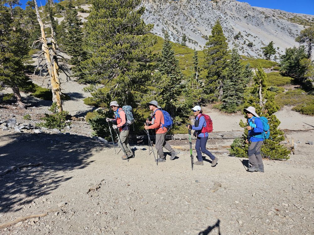 20251109_111324.jpg