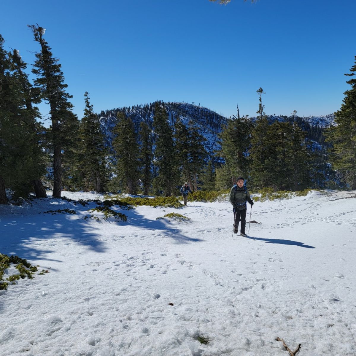 temp_1639967179280.1056443784.jpeg