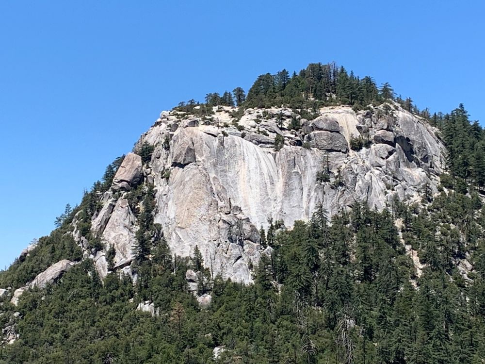 temp_1655092499170.620036602.jpeg