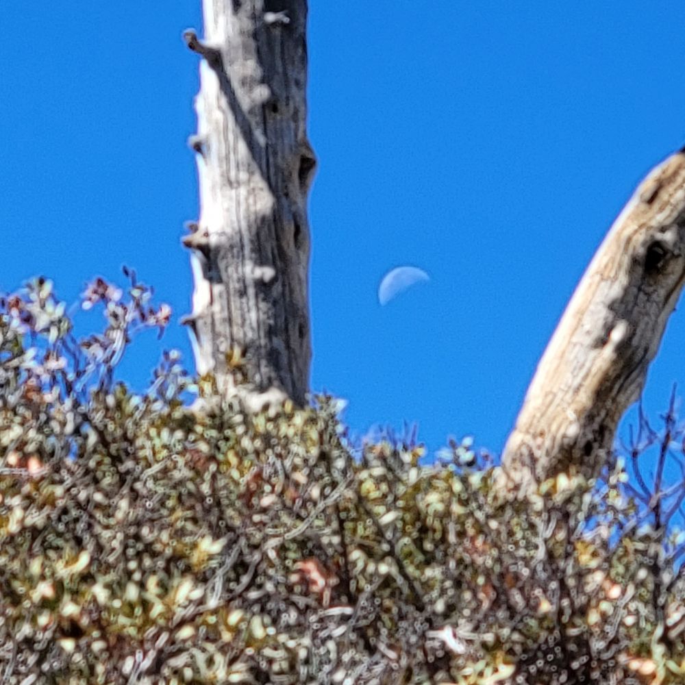 20220918_122941.jpg