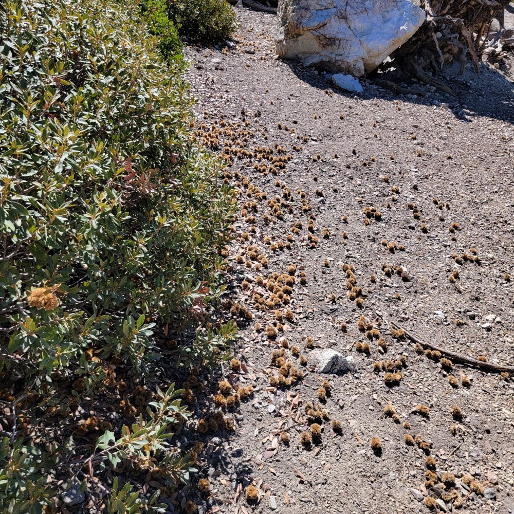 20220918_104229.jpg
