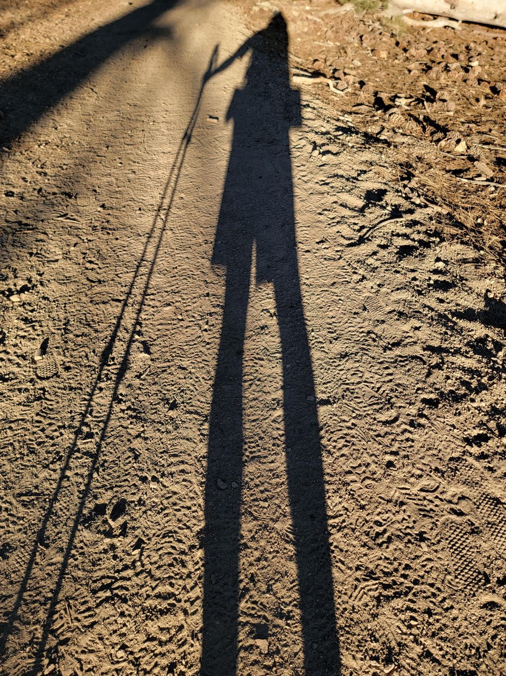 20220618_191727.jpg