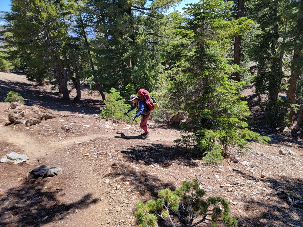 20220619_100444.jpg