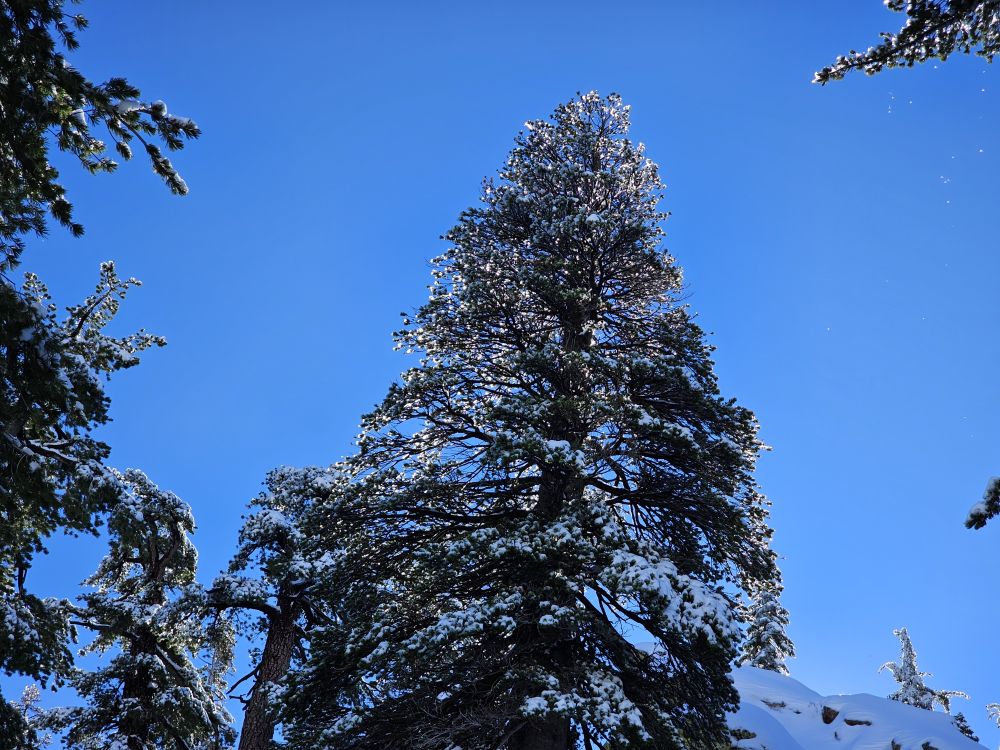 20251123_114324.jpg