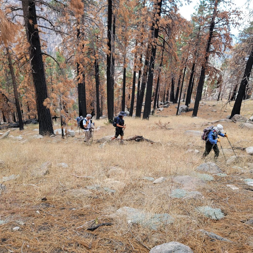 20220925_142626.jpg
