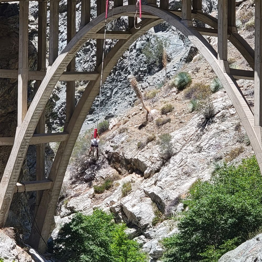 20220626_122945.jpg