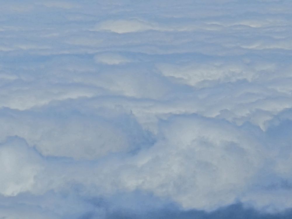 20250518_115422.jpg