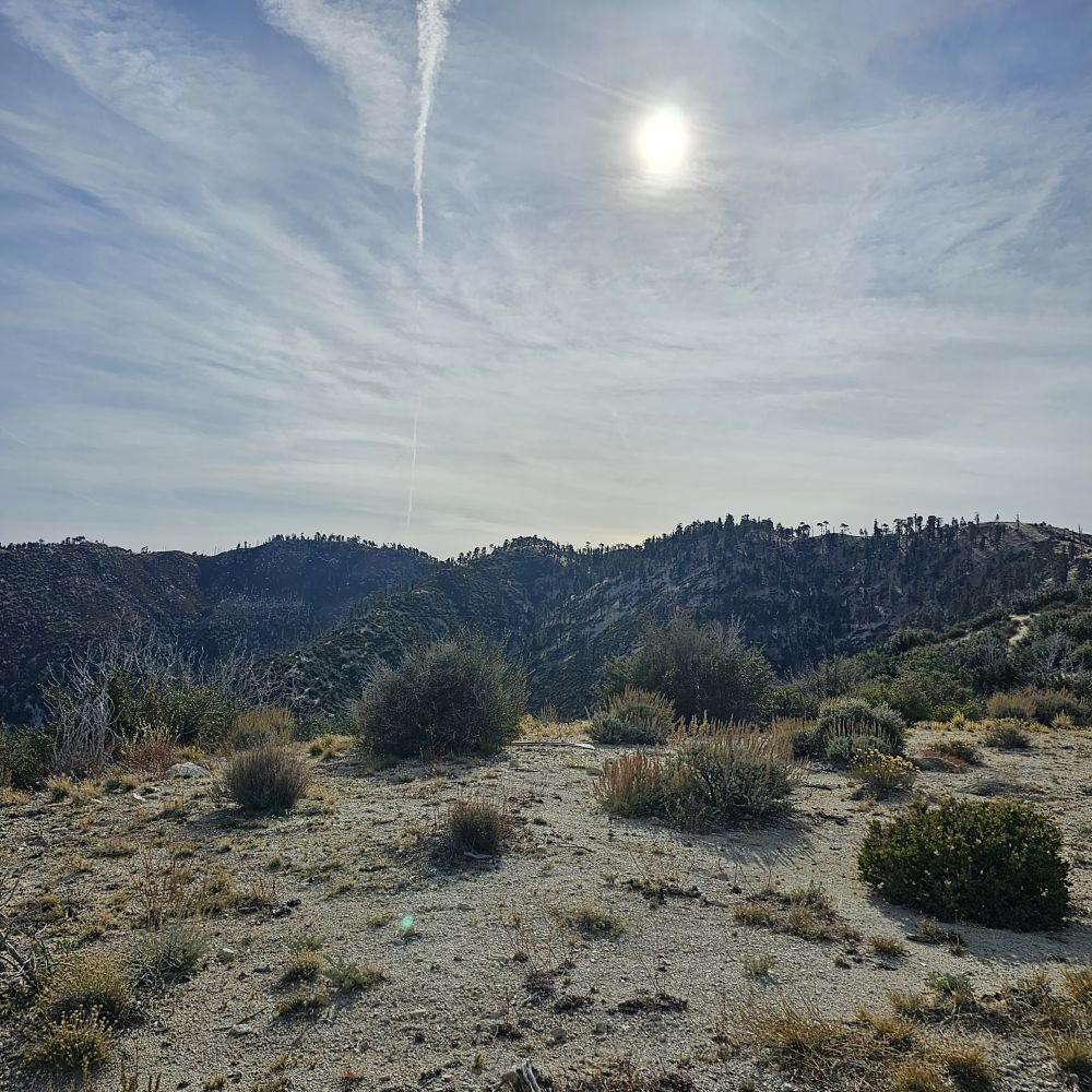 20231126_095517.jpg