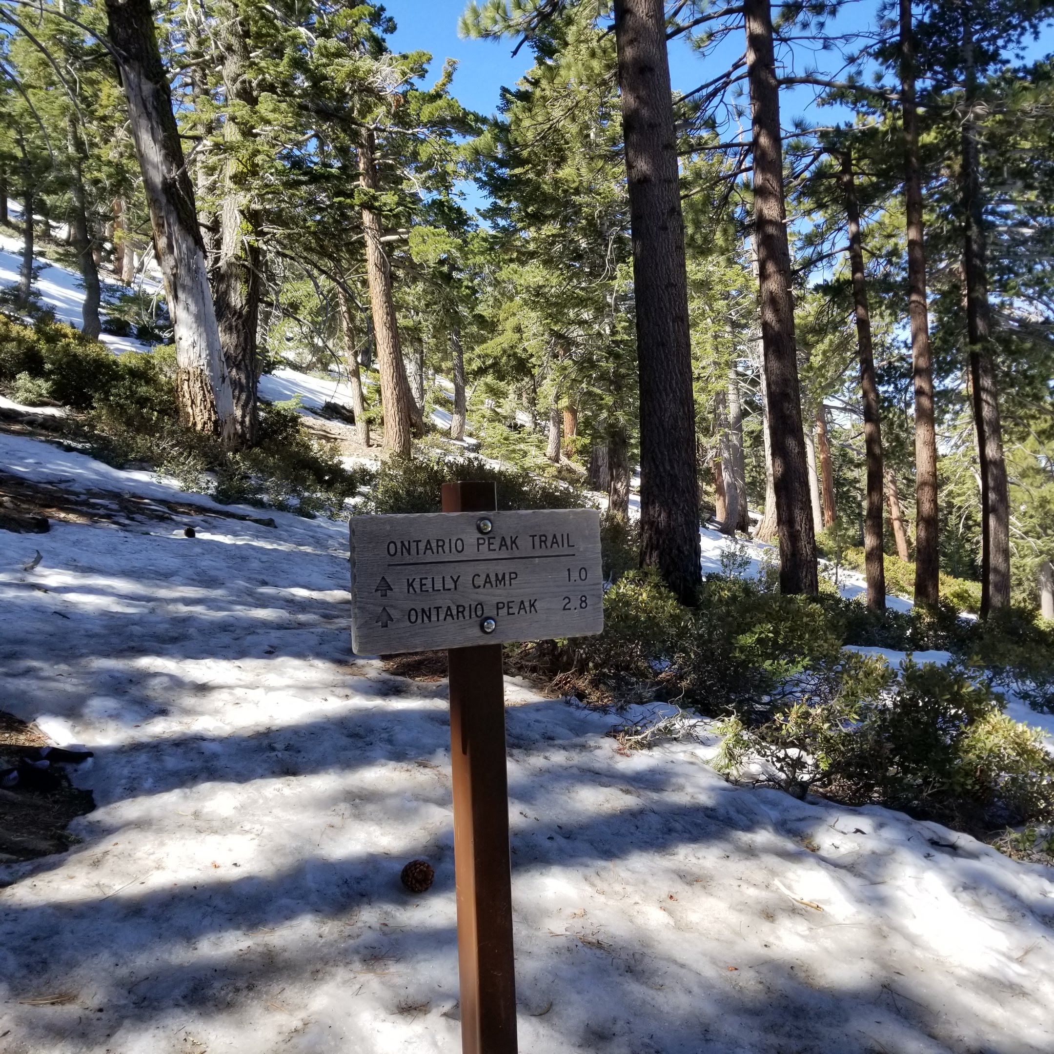 1617631404074-11.jpg