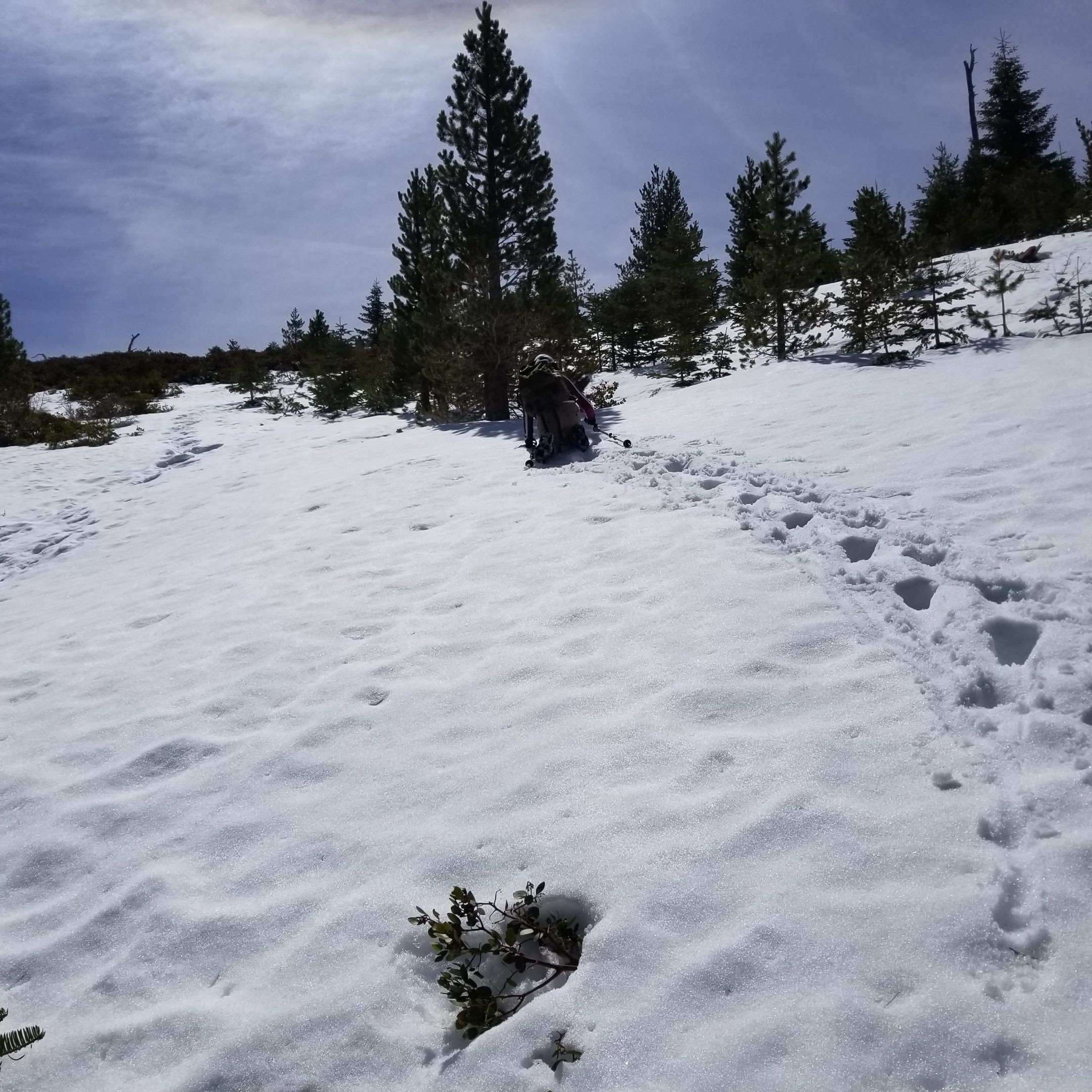 1617631404074-19.jpg
