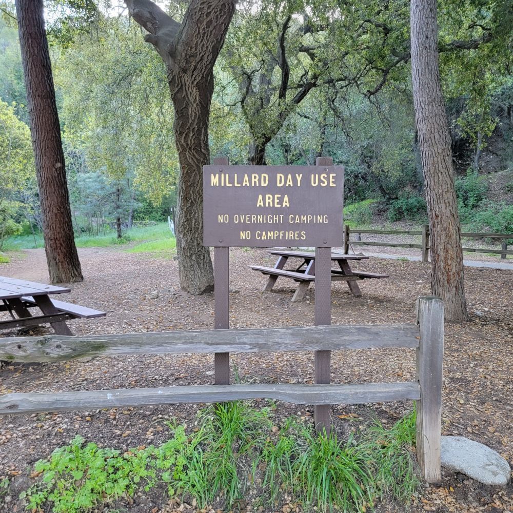 20230416_082853.jpg