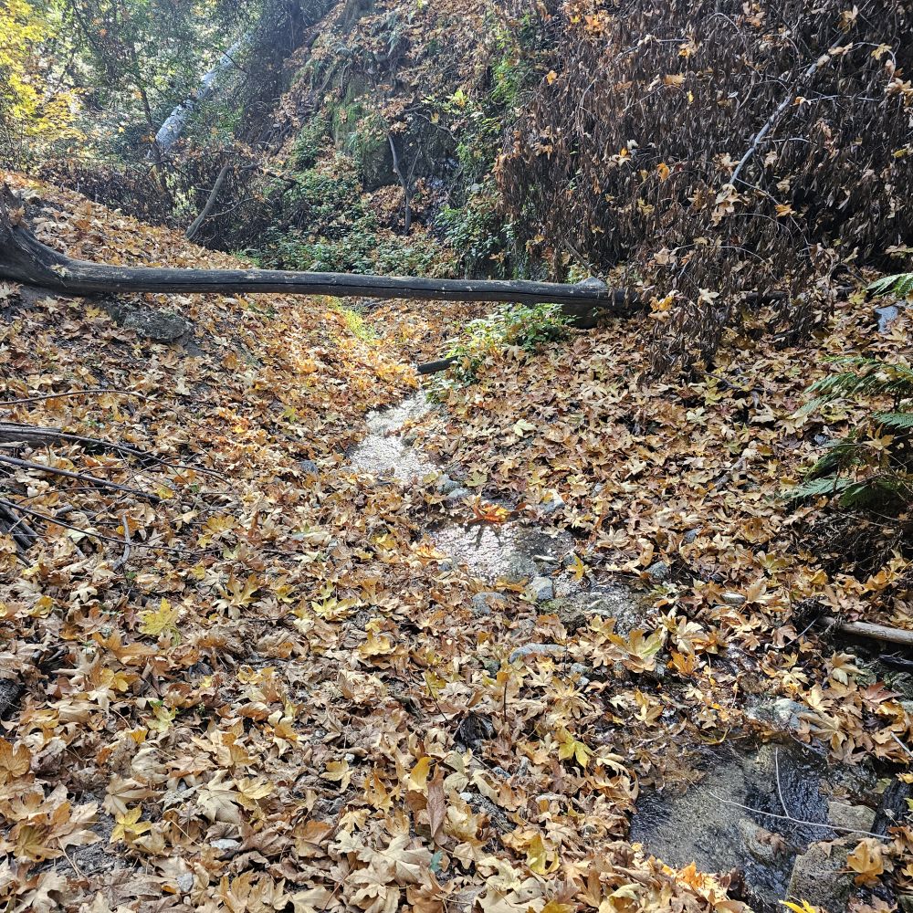 20231203_092652.jpg