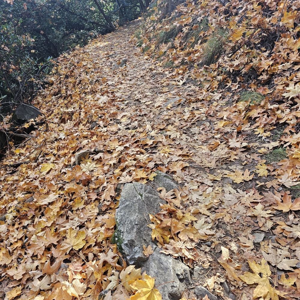 20231203_092325.jpg