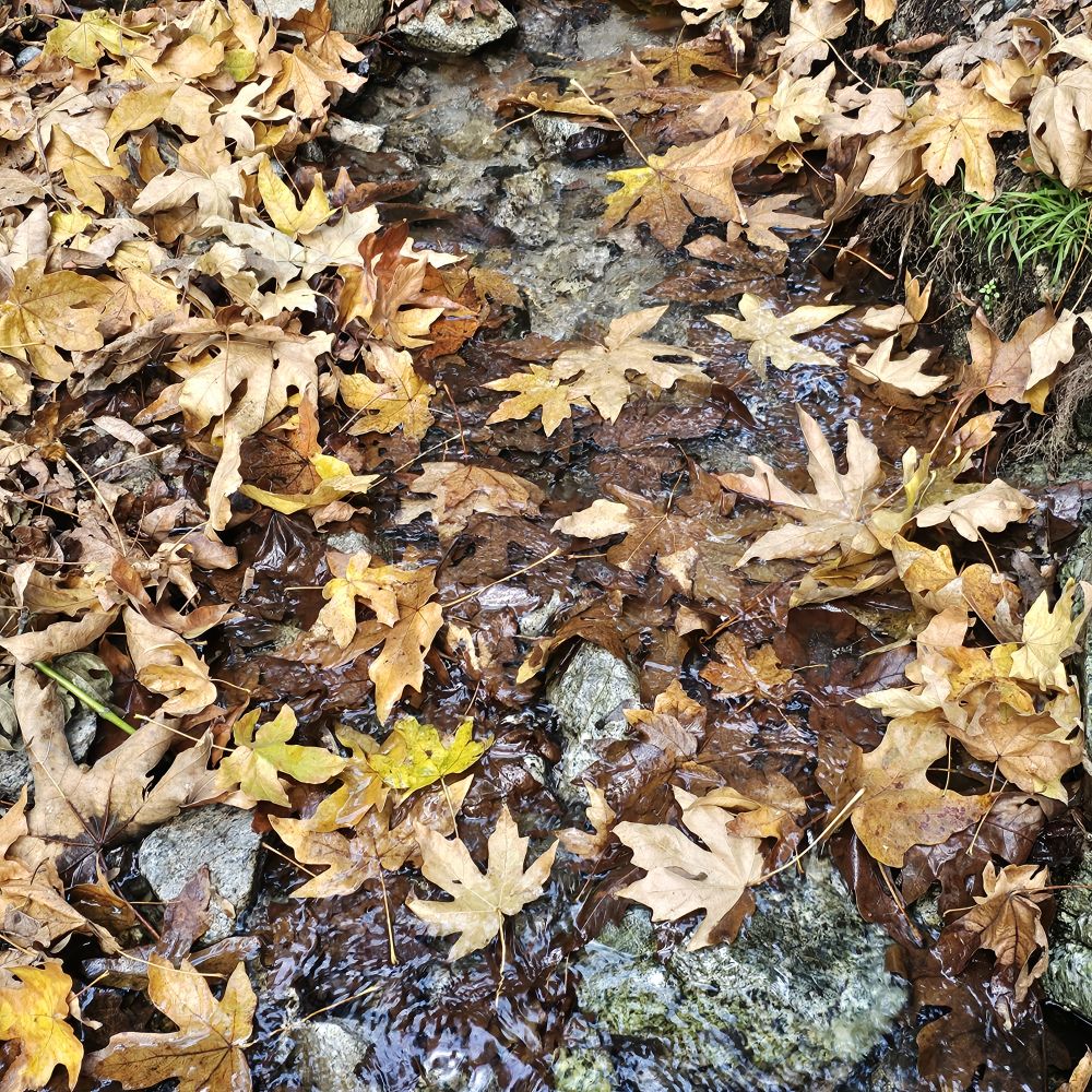 20231203_142717.jpg