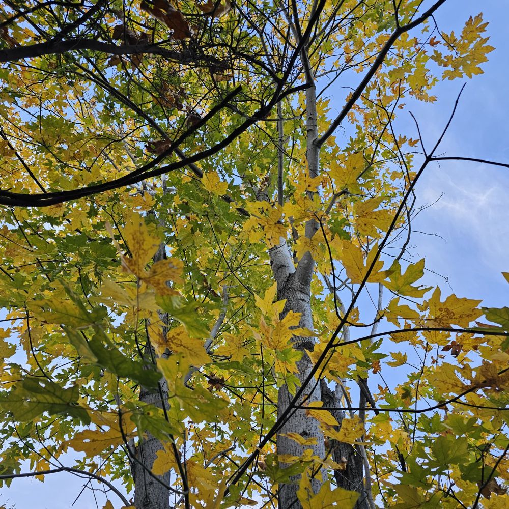 20231203_143727.jpg