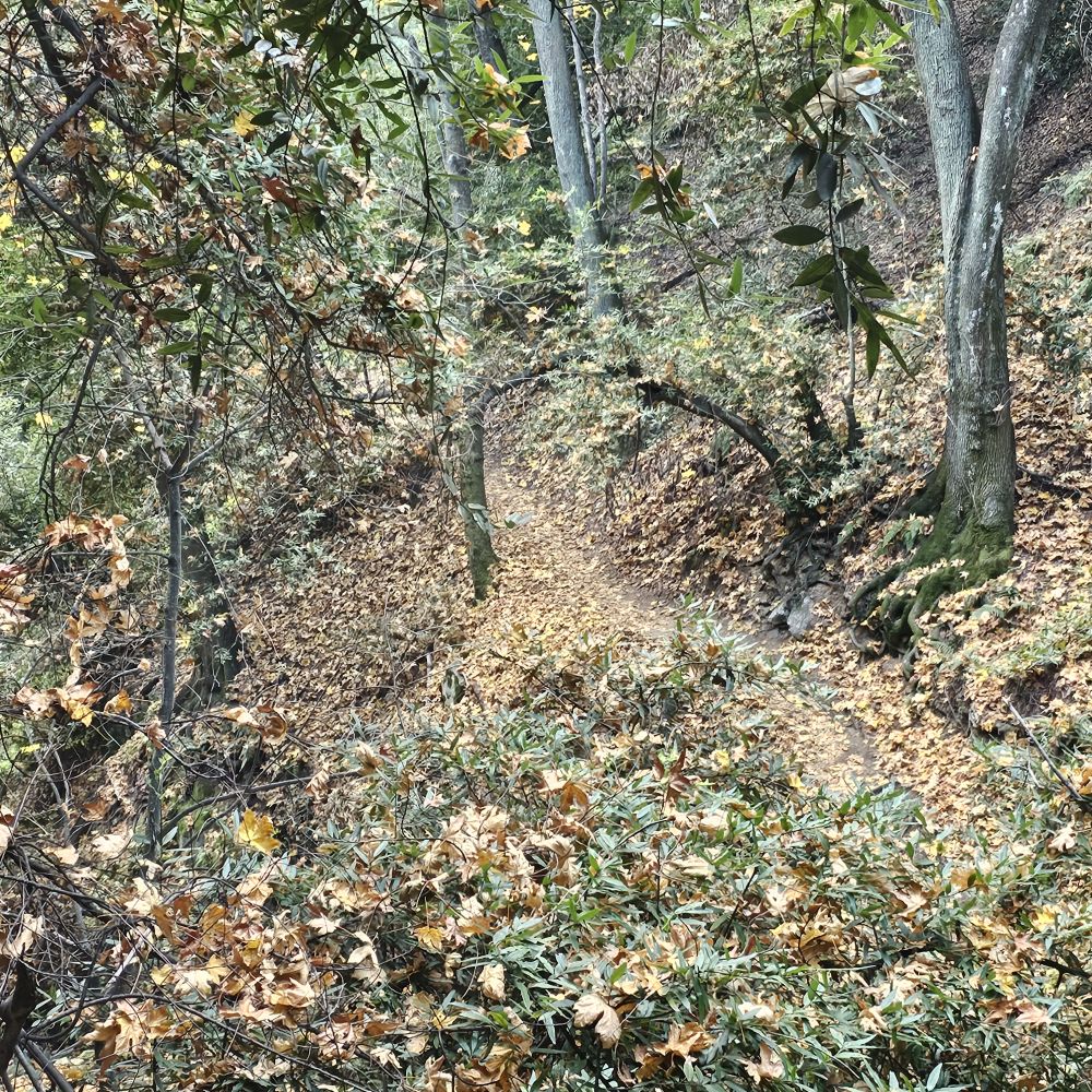 20231203_142619.jpg