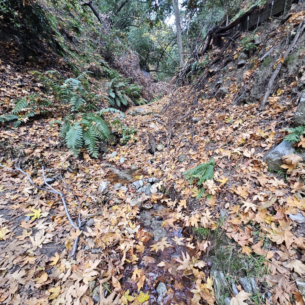 20231203_142720.jpg