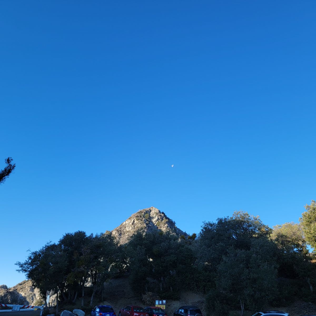 20220123_080545.jpg