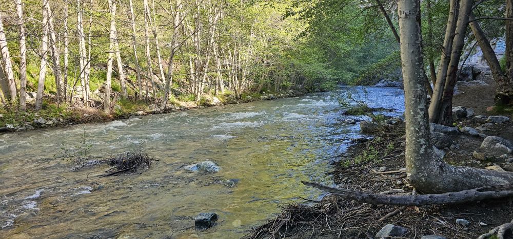 20240421_091500.jpg