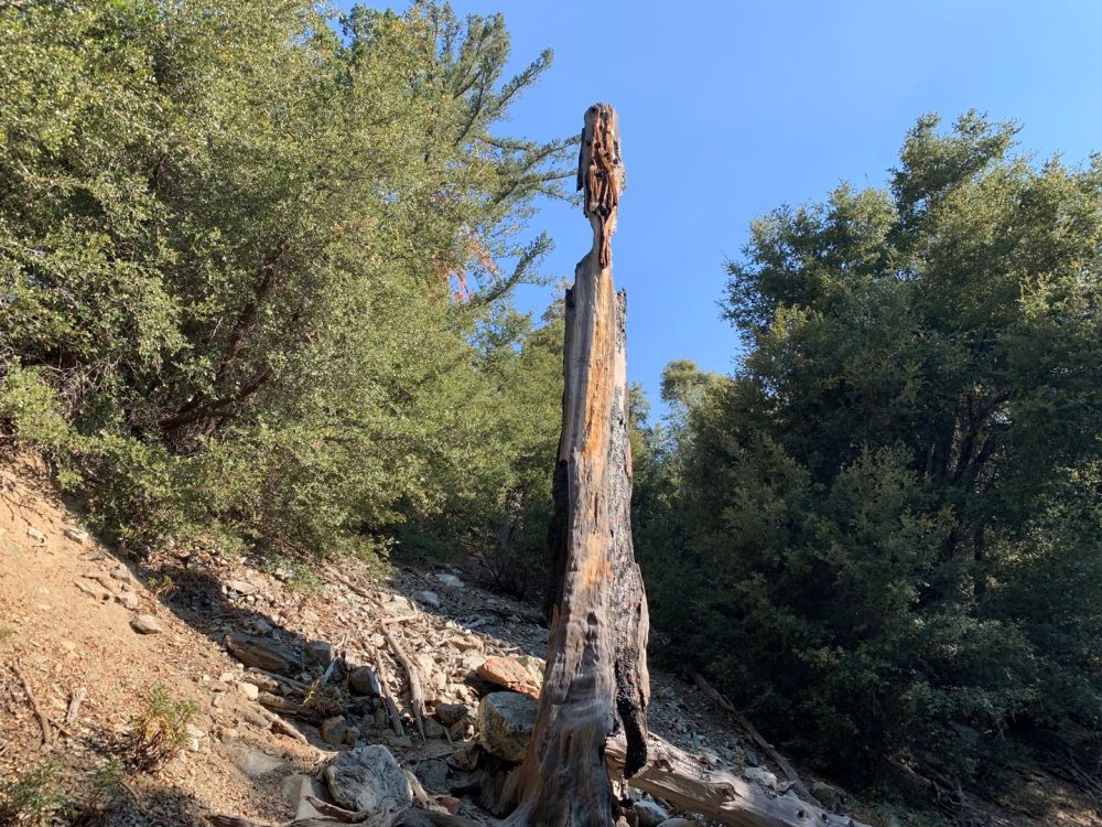 KakaoTalk_20240908_164723889_03.jpg