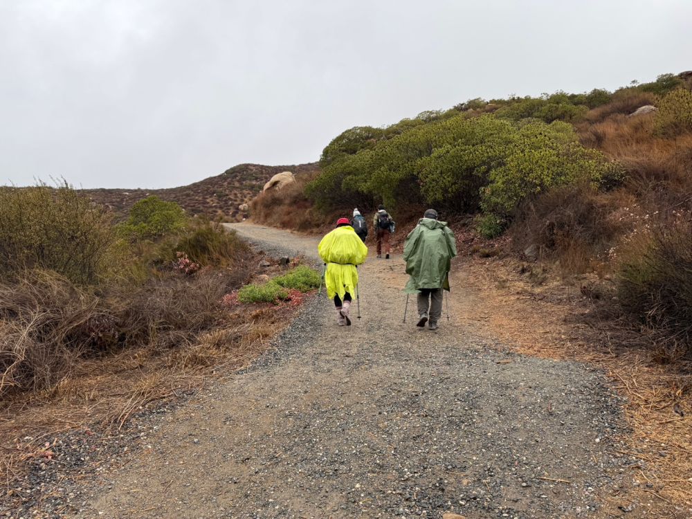 KakaoTalk_20250126_172419892_17.jpg