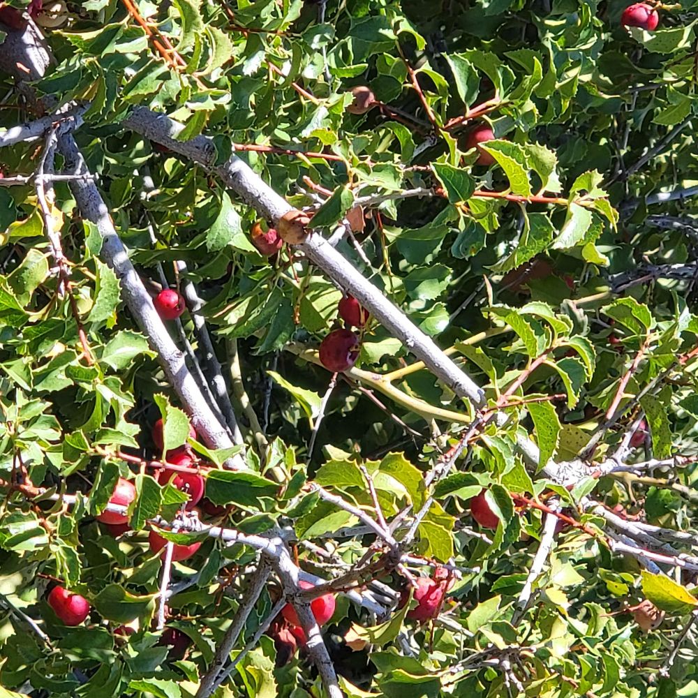 20221016_123610.jpg
