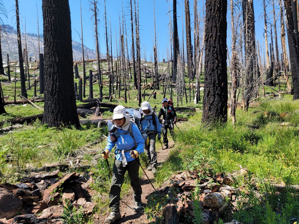 20220708_145006.jpg