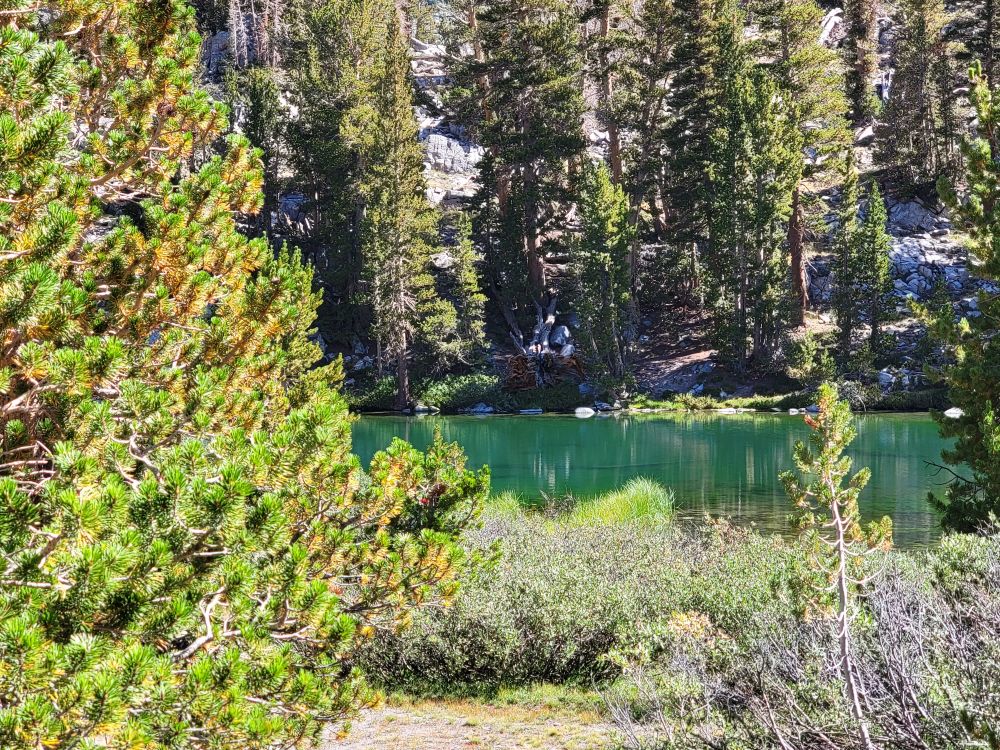 20220820_101331.jpg