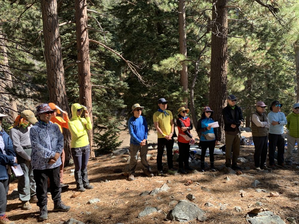 temp_1760919789283.358699327.jpeg