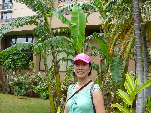 Hawwai  . 03 05 2009 Maui  Travel 083.jpg