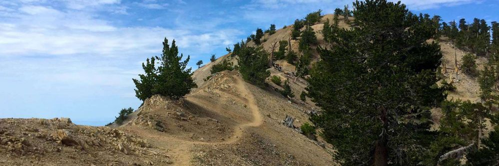 mount-baden-powell-hike.jpg