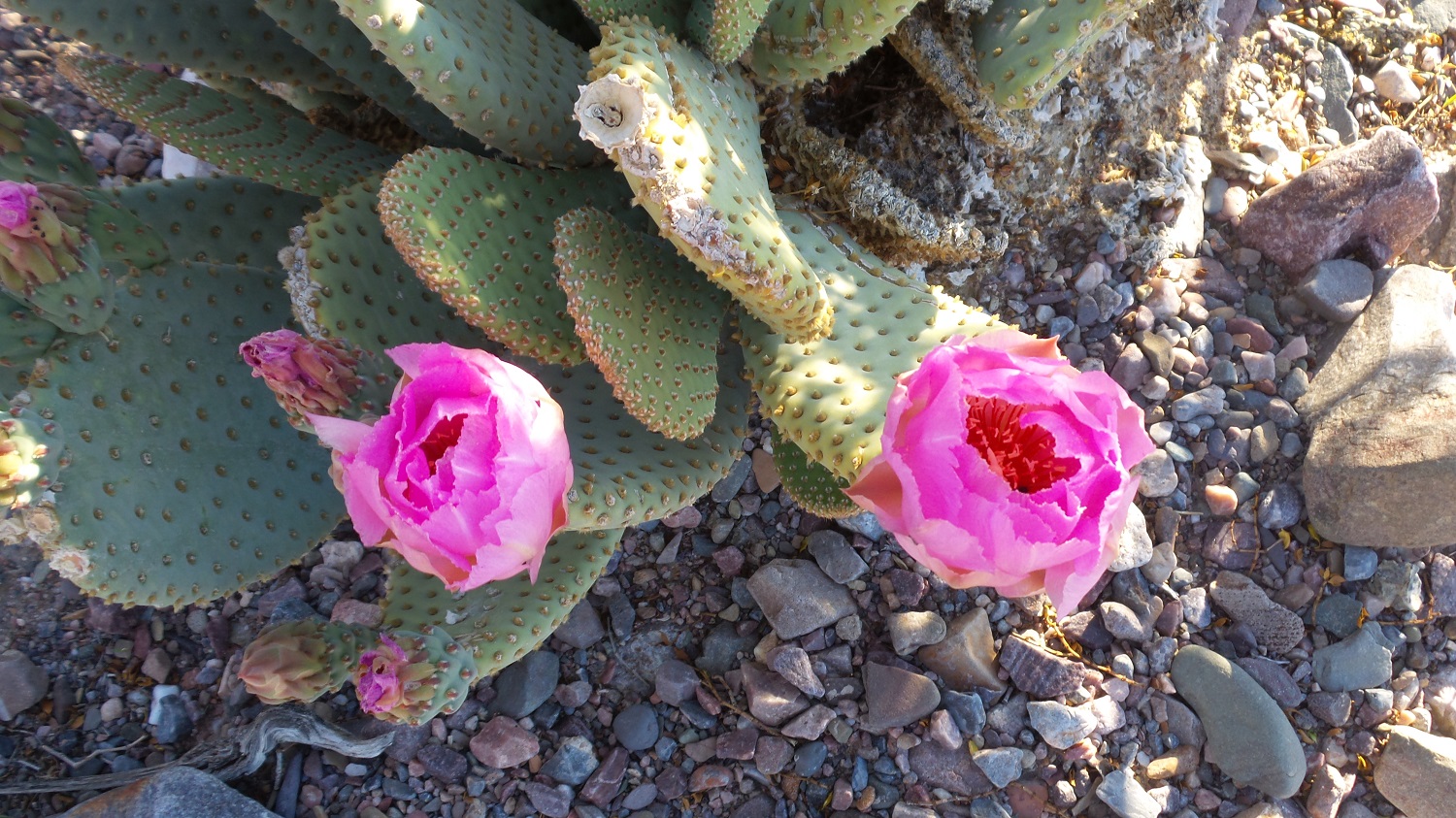 20170325_180612.jpg