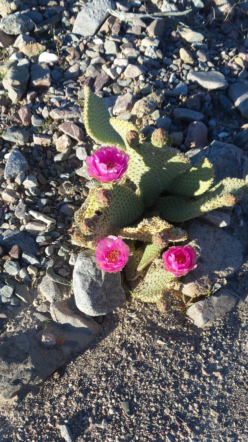 20170325_180932.jpg