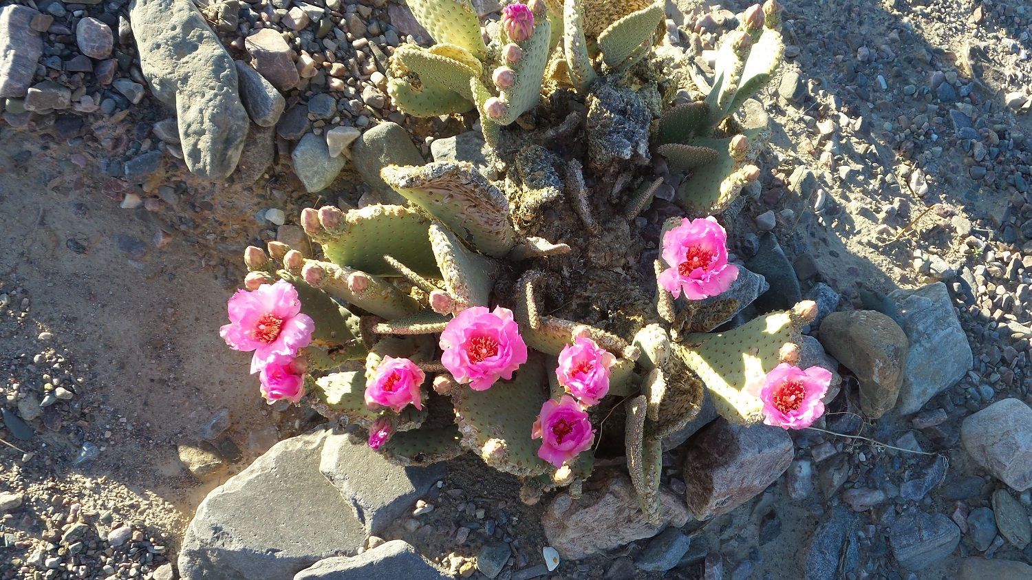 20170325_180907.jpg