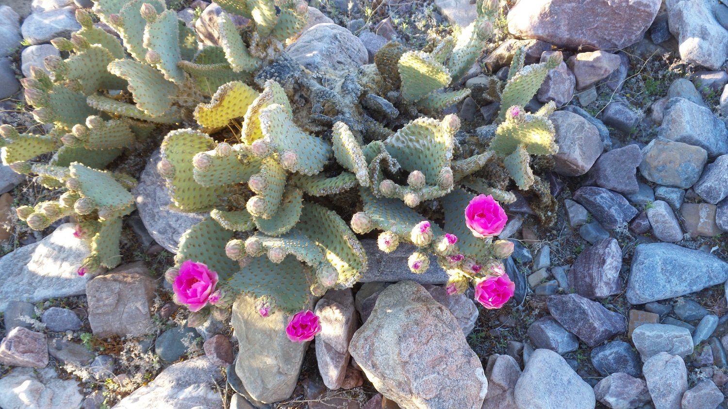 20170325_180810.jpg