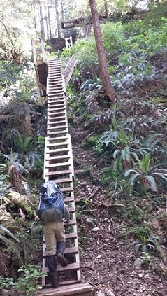 20140520_132143.jpg