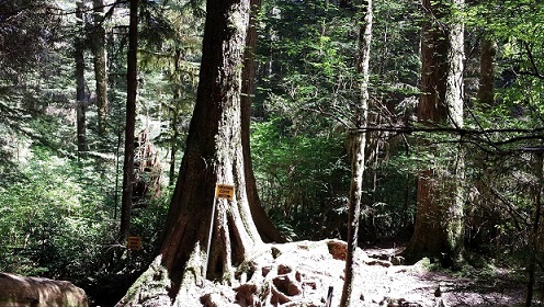 20140519_142858.jpg