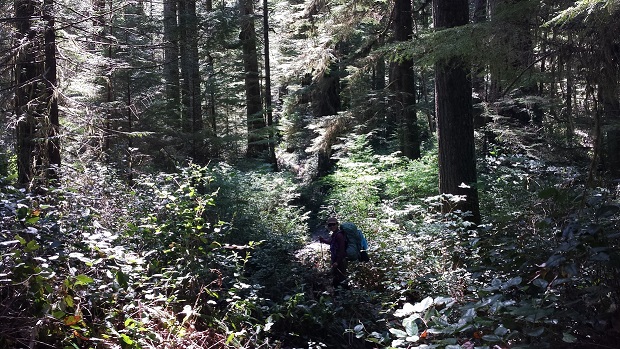 20140519_145628.jpg