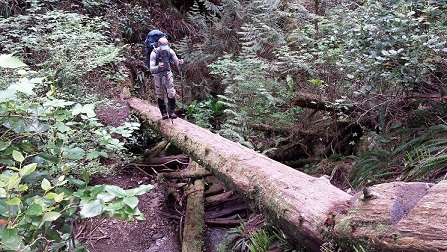 20140520_120124.jpg