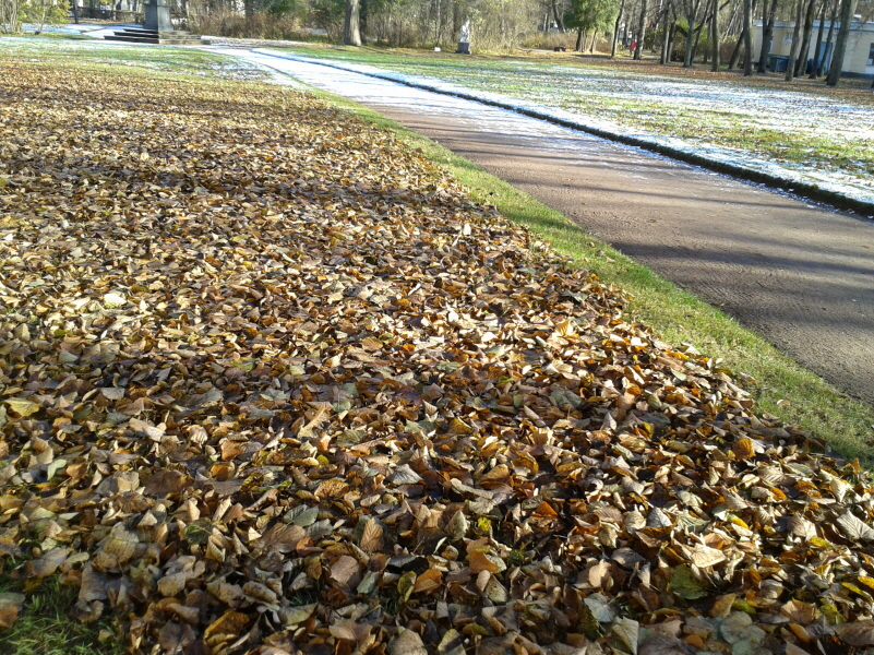 Resized  s,j 2_2013-10-20 03.15.23.jpg