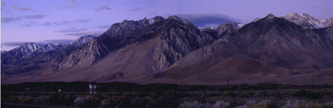 p-1(650X212)(색바꿈).jpg