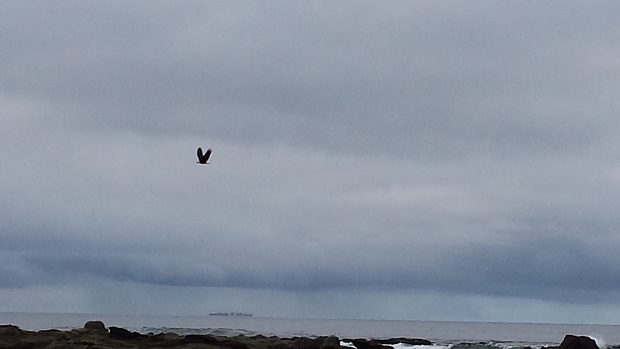 20140521_083932.jpg