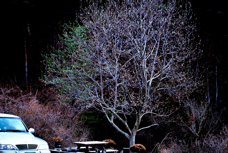 DSC_3318 블.jpg