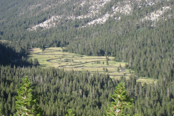 IMG_0992.jpg