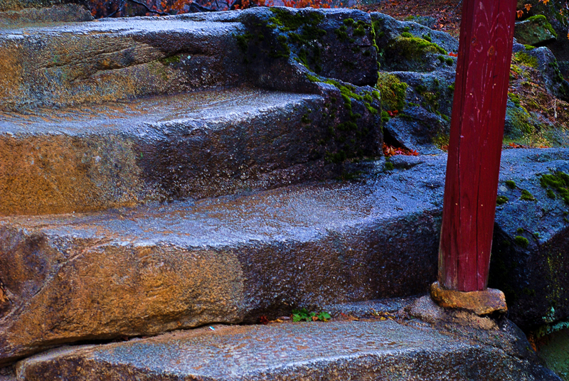 DSC_3489블.jpg
