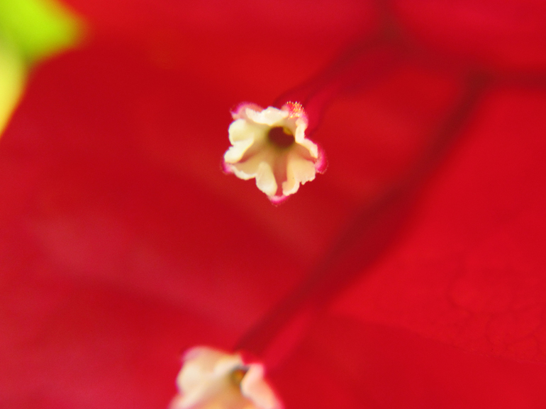 IMG_6584 - Co.JPG