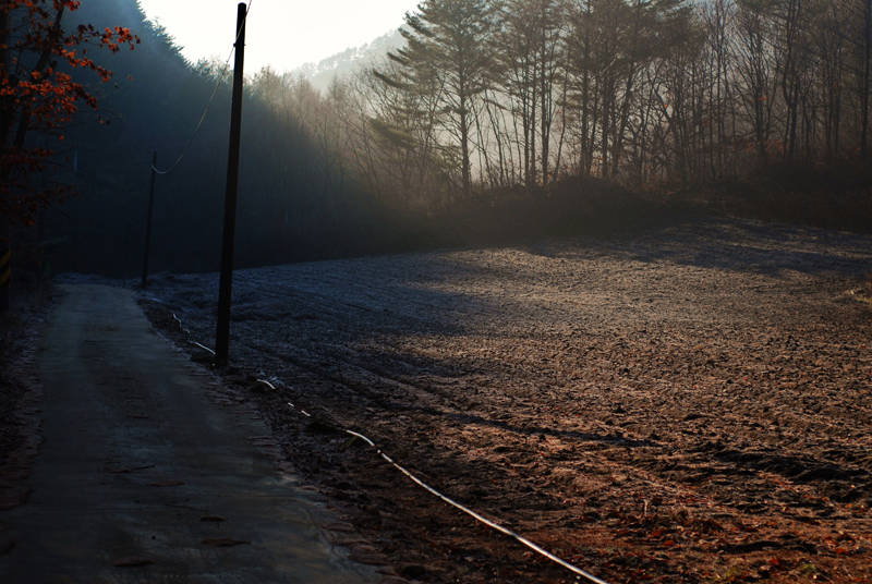DSC_3432블.JPG